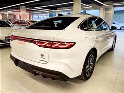 بی وای دی کوێن L DM-i